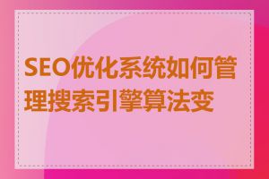 SEO优化系统如何管理搜索引擎算法变化