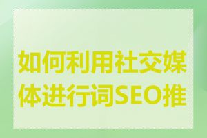 如何利用社交媒体进行词SEO推广