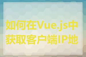 如何在Vue.js中获取客户端IP地址