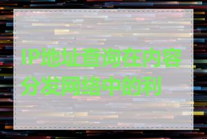 IP地址查询在内容分发网络中的利用