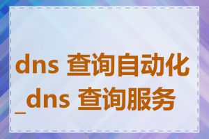 dns 查询自动化_dns 查询服务器