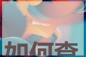 如何查询域名商