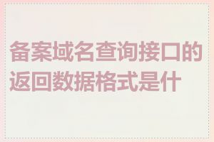 备案域名查询接口的返回数据格式是什么