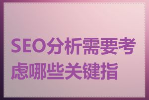 SEO分析需要考虑哪些关键指标