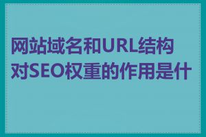 网站域名和URL结构对SEO权重的作用是什么