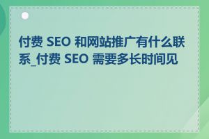 付费 SEO 和网站推广有什么联系_付费 SEO 需要多长时间见效