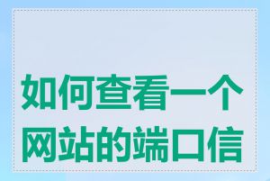 如何查看一个网站的端口信息