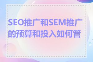 SEO推广和SEM推广的预算和投入如何管控