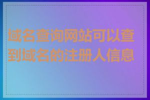 域名查询网站可以查到域名的注册人信息吗