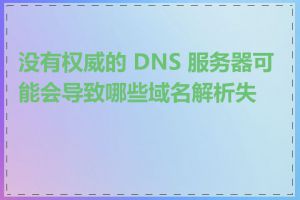 没有权威的 DNS 服务器可能会导致哪些域名解析失败