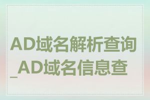 AD域名解析查询_AD域名信息查询