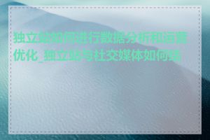 独立站如何进行数据分析和运营优化_独立站与社交媒体如何结合