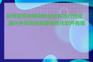 如何使用关键词优化软件进行优化_国内外知名的关键词优化软件有哪些