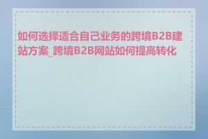 如何选择适合自己业务的跨境B2B建站方案_跨境B2B网站如何提高转化率