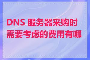 DNS 服务器采购时需要考虑的费用有哪些