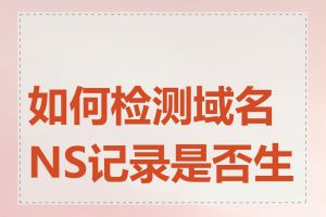 如何检测域名NS记录是否生效