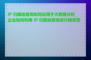 IP 归属地查询如何应用于大数据分析_企业如何利用 IP 归属地查询进行精准营销