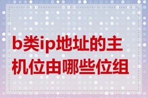 b类ip地址的主机位由哪些位组成