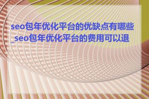 seo包年优化平台的优缺点有哪些_seo包年优化平台的费用可以退吗