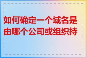 如何确定一个域名是由哪个公司或组织持有