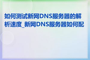 如何测试新网DNS服务器的解析速度_新网DNS服务器如何配置