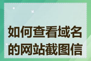 如何查看域名的网站截图信息