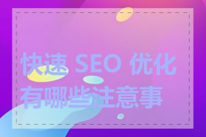 快速 SEO 优化有哪些注意事项