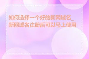 如何选择一个好的新网域名_新网域名注册后可以马上使用吗