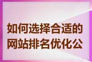 如何选择合适的网站排名优化公司