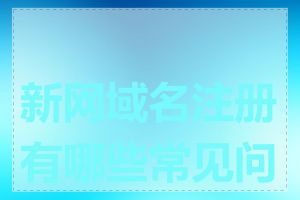 新网域名注册有哪些常见问题