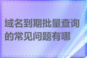 域名到期批量查询的常见问题有哪些