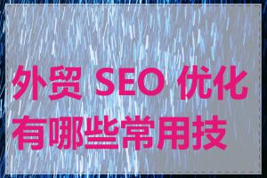 外贸 SEO 优化有哪些常用技巧