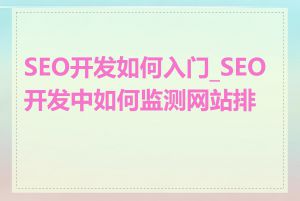 SEO开发如何入门_SEO开发中如何监测网站排名