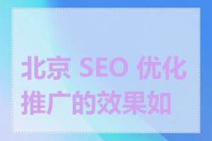 北京 SEO 优化推广的效果如何