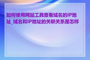 如何使用网站工具查看域名的IP地址_域名和IP地址的关联关系是怎样的