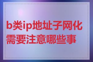 b类ip地址子网化需要注意哪些事项