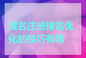 域名注册排名优化的技巧有哪些