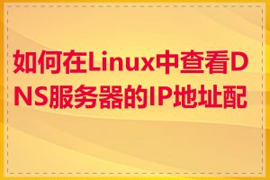 如何在Linux中查看DNS服务器的IP地址配置