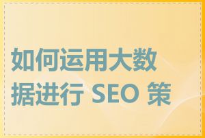 如何运用大数据进行 SEO 策略