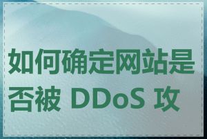 如何确定网站是否被 DDoS 攻击