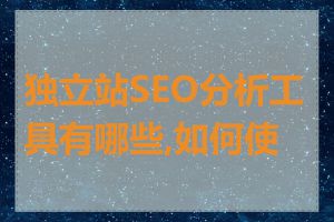 独立站SEO分析工具有哪些,如何使用