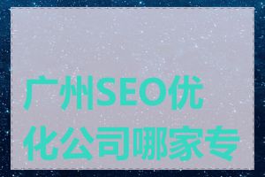广州SEO优化公司哪家专业