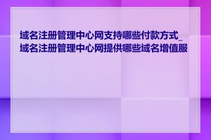 域名注册管理中心网支持哪些付款方式_域名注册管理中心网提供哪些域名增值服务