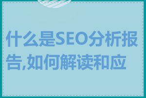什么是SEO分析报告,如何解读和应用