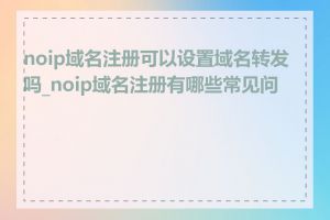 noip域名注册可以设置域名转发吗_noip域名注册有哪些常见问题