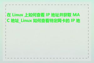 在 Linux 上如何查看 IP 地址并获取 MAC 地址_Linux 如何查看特定网卡的 IP 地址