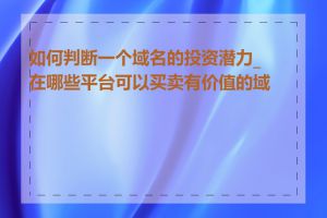如何判断一个域名的投资潜力_在哪些平台可以买卖有价值的域名