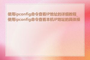 使用ipconfig命令查看IP地址的详细教程_使用ipconfig命令查看本机IP地址的具体操作