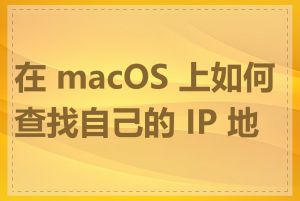 在 macOS 上如何查找自己的 IP 地址