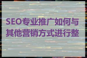 SEO专业推广如何与其他营销方式进行整合